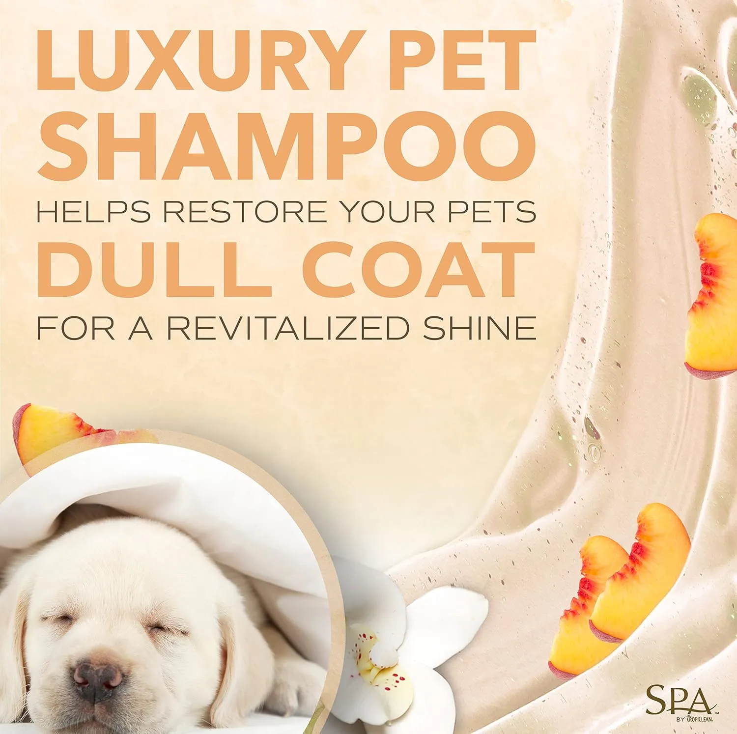 TropiClean SPA Lavish Dog Shampoo | Renew Deodorizing Dog Shampoo | Naturally Derived Salon Grade Ingredients | Made in the USA | 16oz