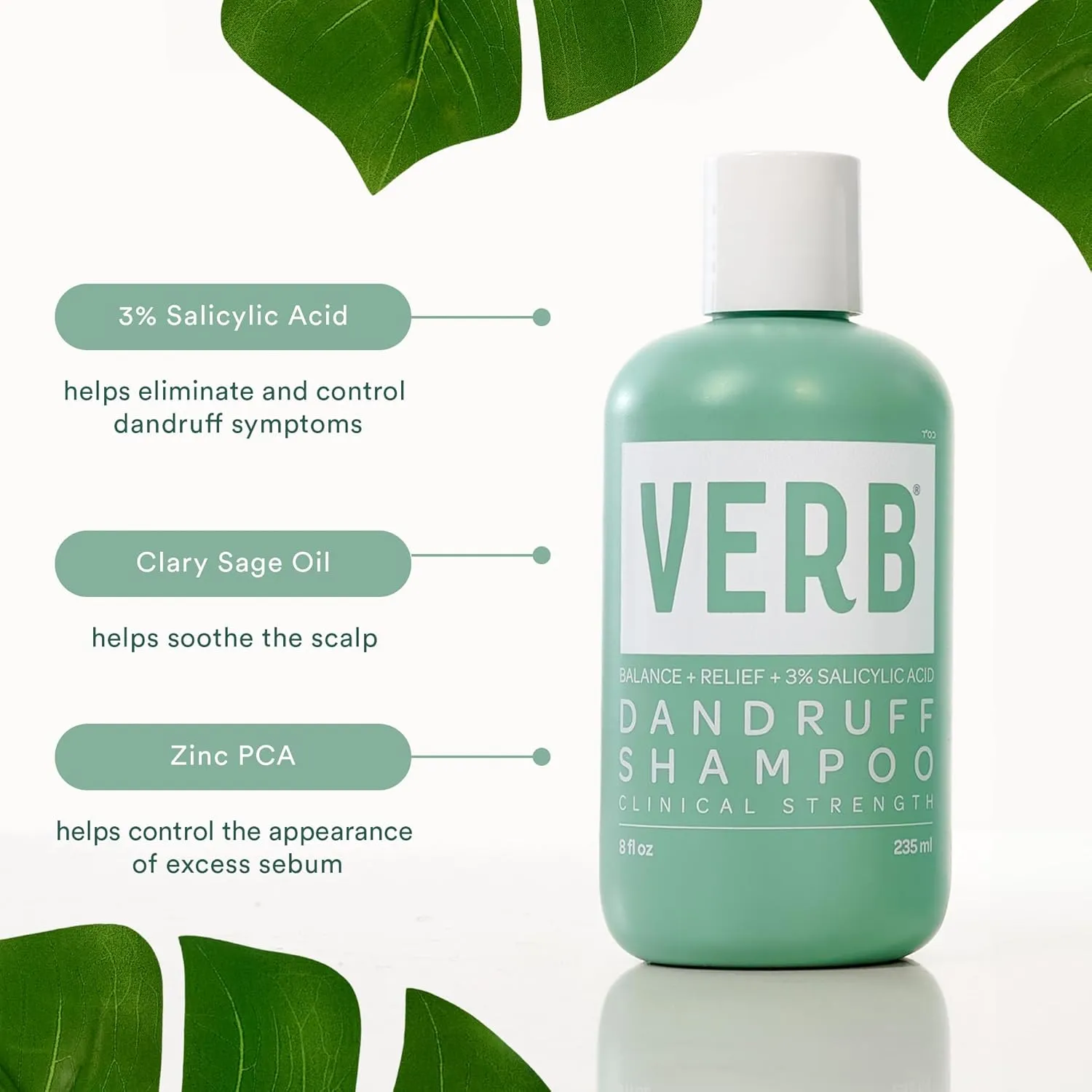 VERB® Dandruff Shampoo - for Gentle Cleansing and Clinical Strength Dandruff Relief with 3% Salicylic Acid